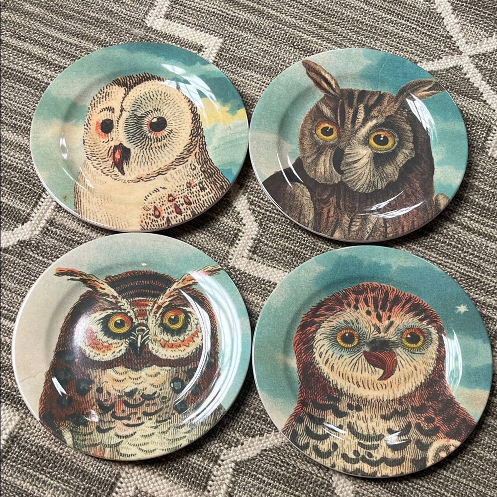 John Derian set of 4 Decorative Owl Melamine Salad Plates
